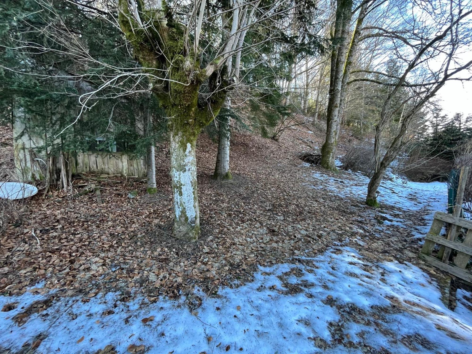 Villa La Butte Bourboule Zewnętrze zdjęcie